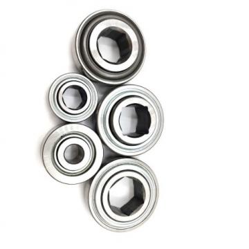 SKF 6207-2RS 6206-2RS Deep Groove Ball Bearings 6205-2RS 6204-2RS 6208-2RS