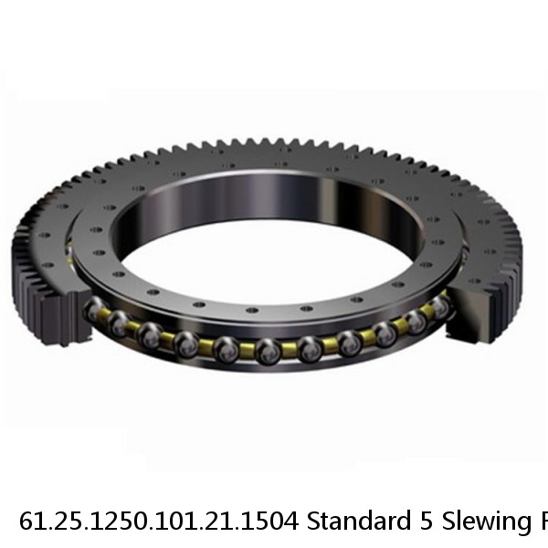61.25.1250.101.21.1504 Standard 5 Slewing Ring Bearings