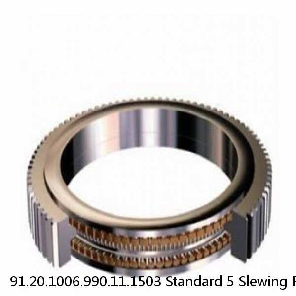 91.20.1006.990.11.1503 Standard 5 Slewing Ring Bearings