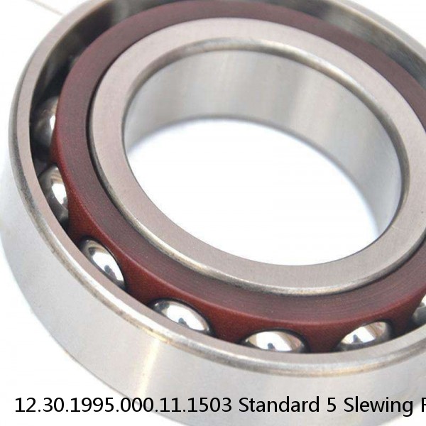 12.30.1995.000.11.1503 Standard 5 Slewing Ring Bearings