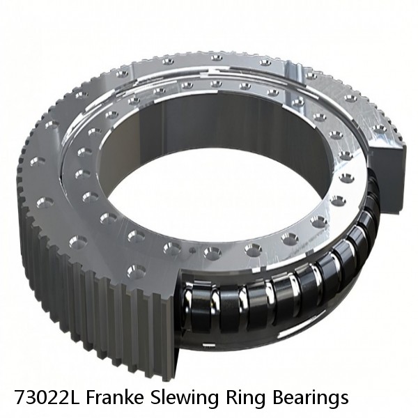 73022L Franke Slewing Ring Bearings