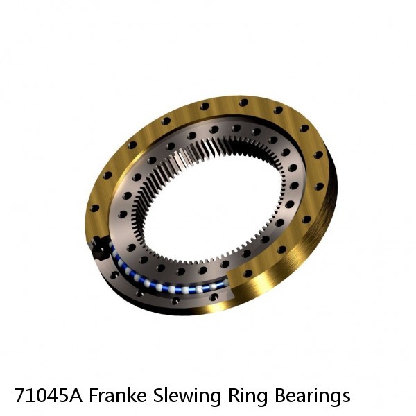 71045A Franke Slewing Ring Bearings
