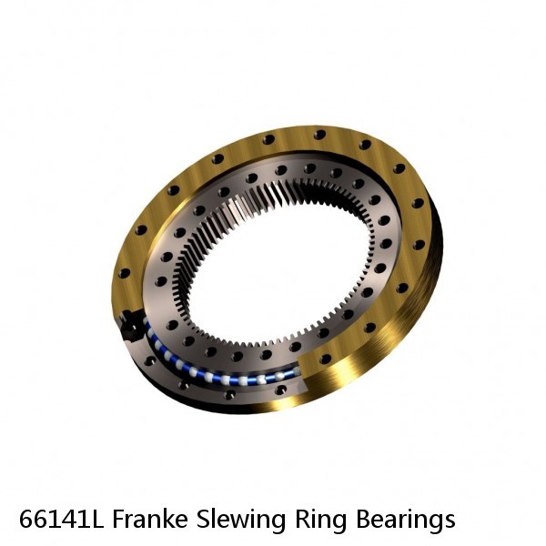 66141L Franke Slewing Ring Bearings #1 small image