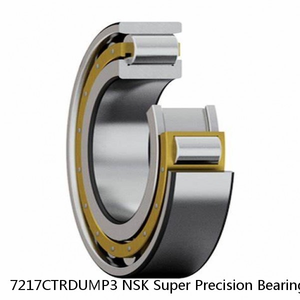 7217CTRDUMP3 NSK Super Precision Bearings