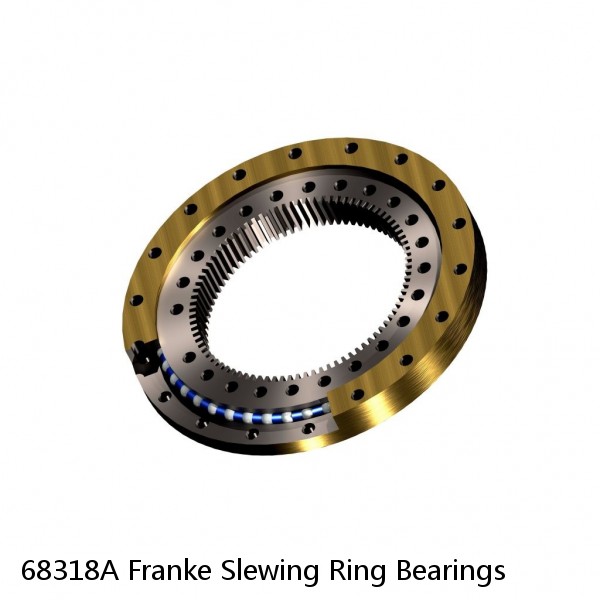 68318A Franke Slewing Ring Bearings #1 small image