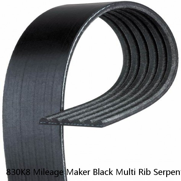 830K8 Mileage Maker Black Multi Rib Serpentine Belt Free Shipping Free Returns #1 small image