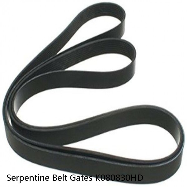 Serpentine Belt Gates K080830HD #1 small image