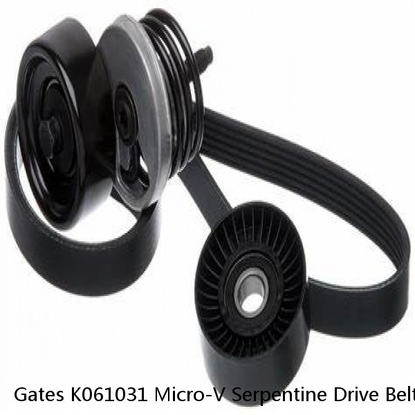 Gates K061031 Micro-V Serpentine Drive Belt