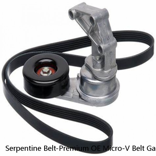 Serpentine Belt-Premium OE Micro-V Belt Gates K061031 #1 small image