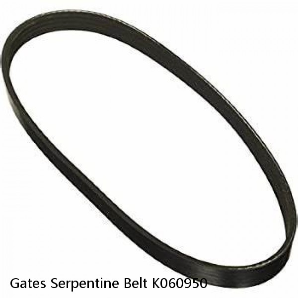 Gates Serpentine Belt K060950 #1 small image