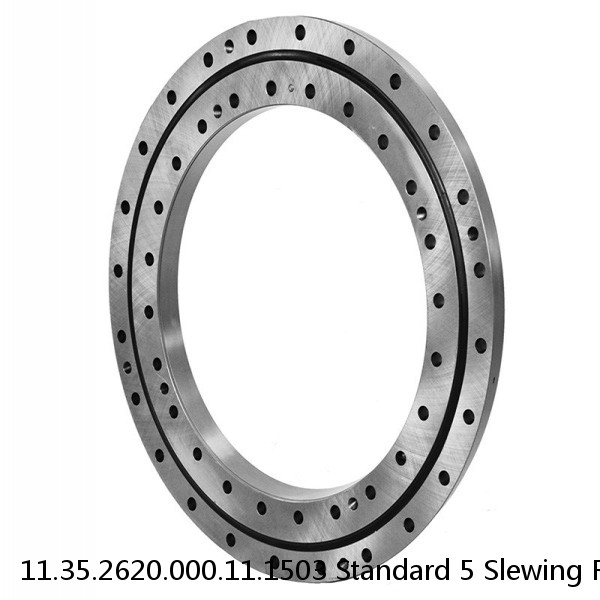 11.35.2620.000.11.1503 Standard 5 Slewing Ring Bearings #1 image