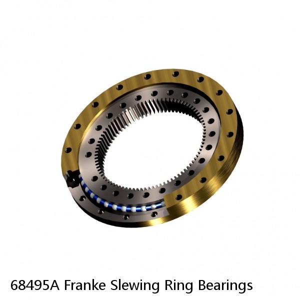 68495A Franke Slewing Ring Bearings #1 image