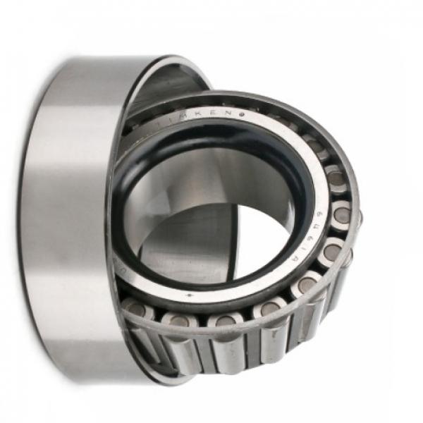 16006 S16006 SS16006-2RS S16006-2RS S16006-ZZ stainless steel ball bearing #1 image