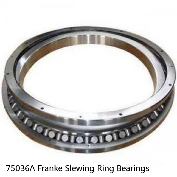 75036A Franke Slewing Ring Bearings #1 image