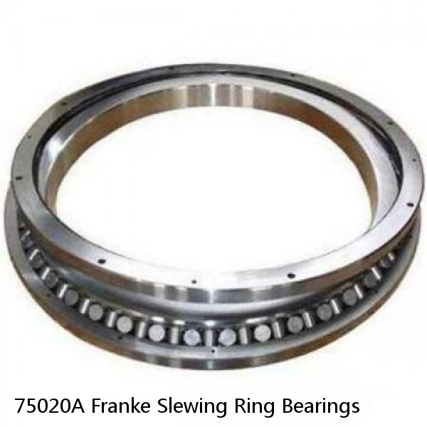 75020A Franke Slewing Ring Bearings #1 image