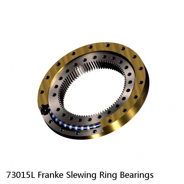73015L Franke Slewing Ring Bearings #1 image