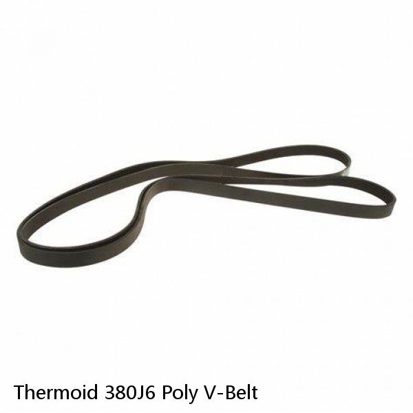 Thermoid 380J6 Poly V-Belt #1 image