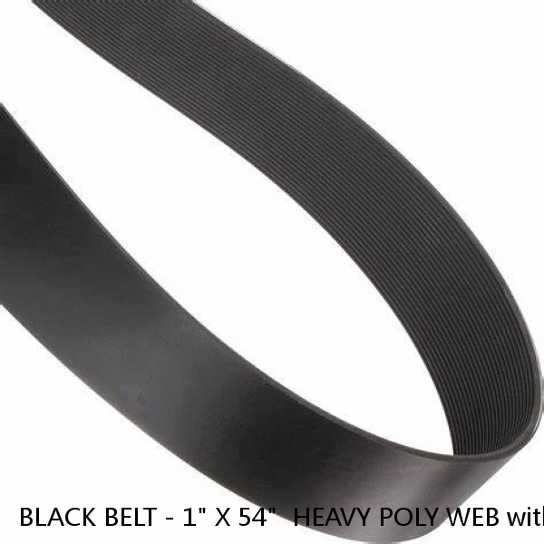 BLACK BELT - 1" X 54"  HEAVY POLY WEB with SIDE RELEASE BUCKLE #1 image