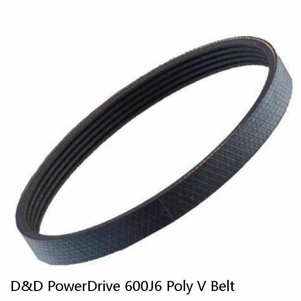 D&D PowerDrive 600J6 Poly V Belt #1 image