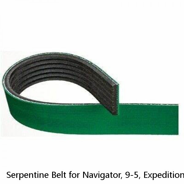 Serpentine Belt for Navigator, 9-5, Expedition, F-150, F-250, F-350+More K061031 #1 image